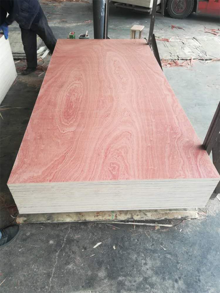 Sapele