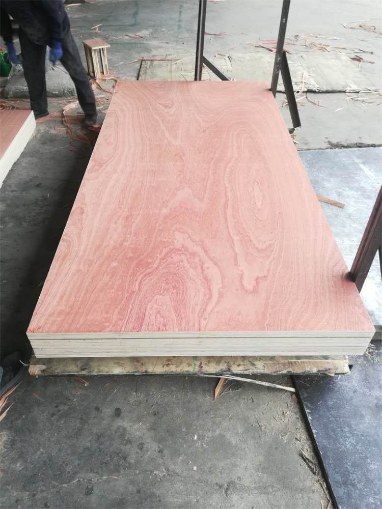 Sapele