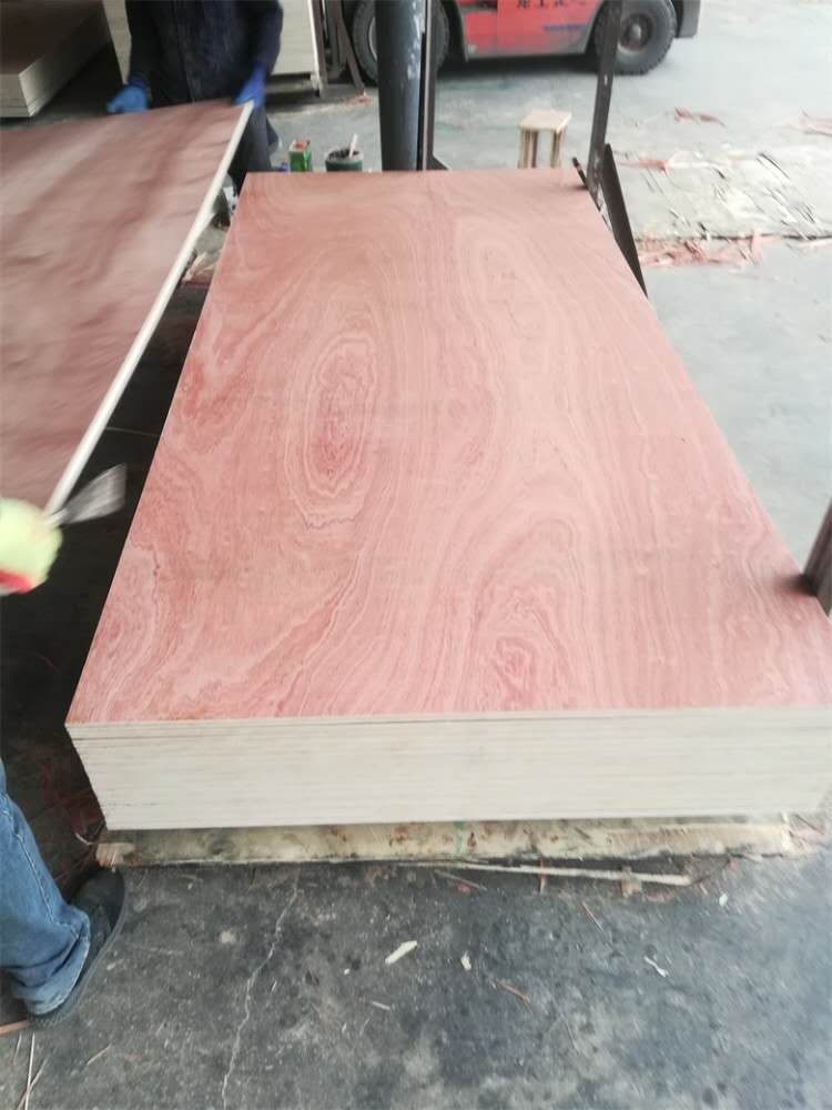 Sapele