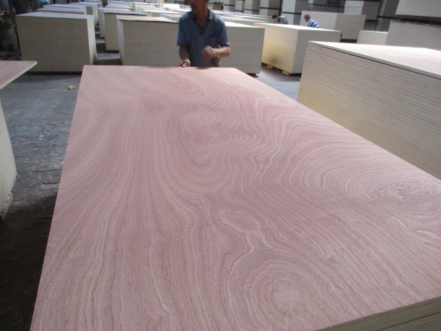 Sapele