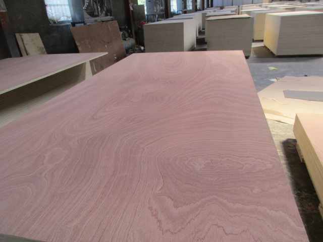 Sapele