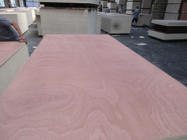 Sapele